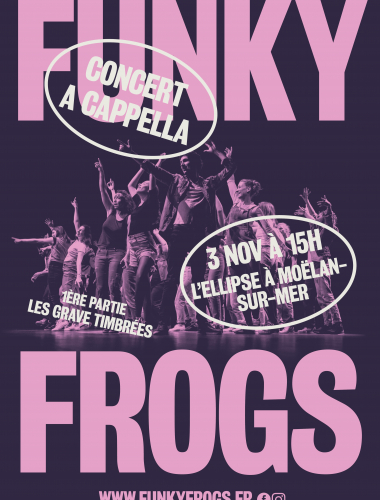 Concert des Grave Timbrées et des Funky Frogs - Moëlan-sur-Mer Le 3 nov 2024