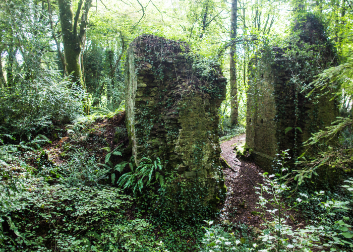 Visite guidée - Randonnée "Trésors cachés en forêt de Toulfoën" - Quimperlé