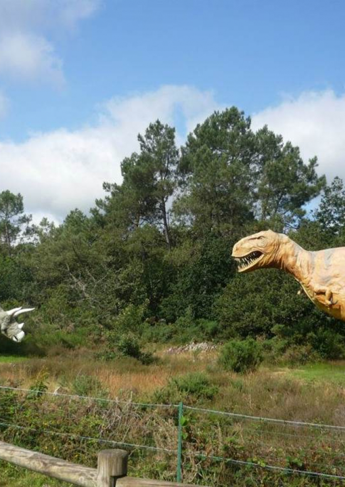 Parc De Pr Histoire De Bretagne Malansac Quimperl Les Rias